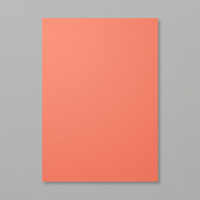 Calypso Coral A4 Cardstock