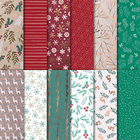 Joyous Noel 12 x 12 (30.5 x 30.5 cm) Specialty Designer Series Paper