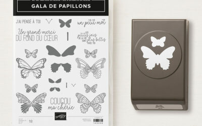 Bonne nouvelle : la perforatrice papillons est de retour !