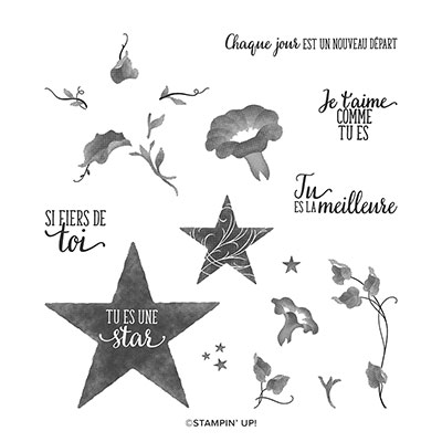 ÉTOILE DU JOUR PHOTOPOLYMER STAMP SET (FRENCH)