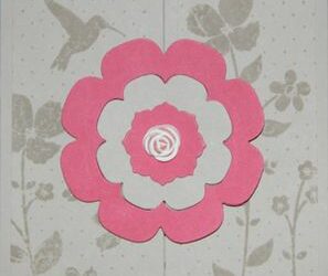 De jolies cartes dans ma boite aux lettres!