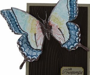 Une jolie rencontre au domaine de la ferme de Fourges