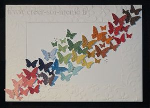 envolee-papillons-convention-2011.jpg