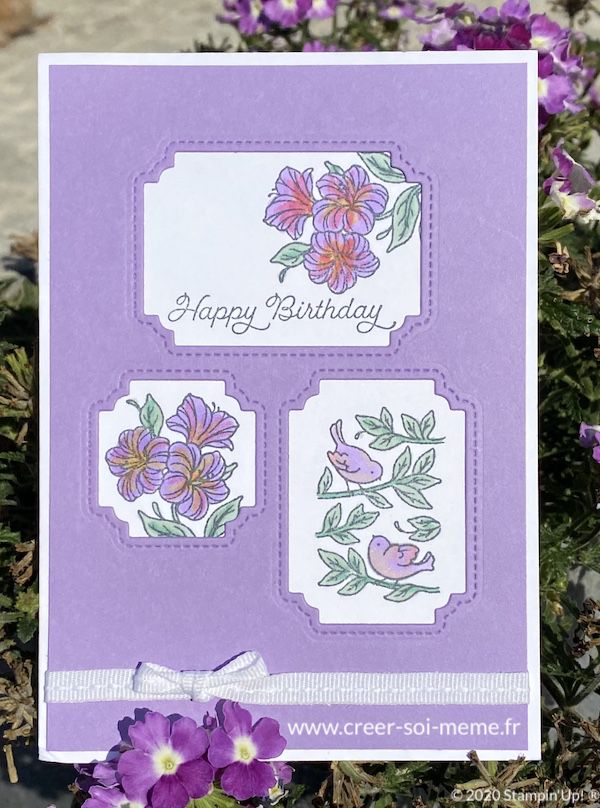 poinçons chouettes fenêtres et posted for you stampinup