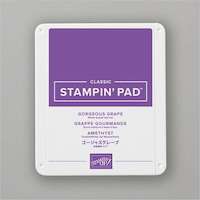 147099 Tampon encreur Classic Grappe gourmande stampin up could heure papier sophie sonia france