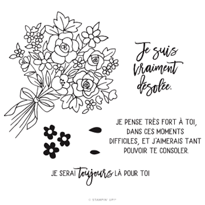 158423 kit Paper Pumpkin Bouquet d’espoir je suis la pour toi désolé stampin up france rouen fanny