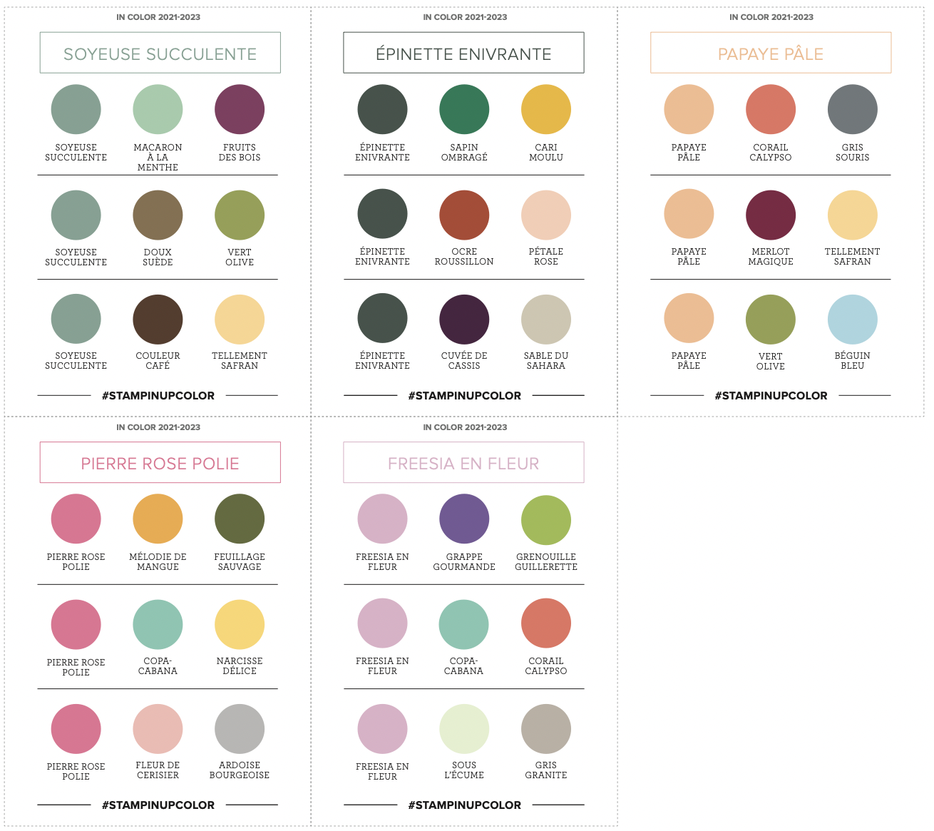 Tableau des combinaisons des couleurs In Color 2021-2023 stampin up color coach