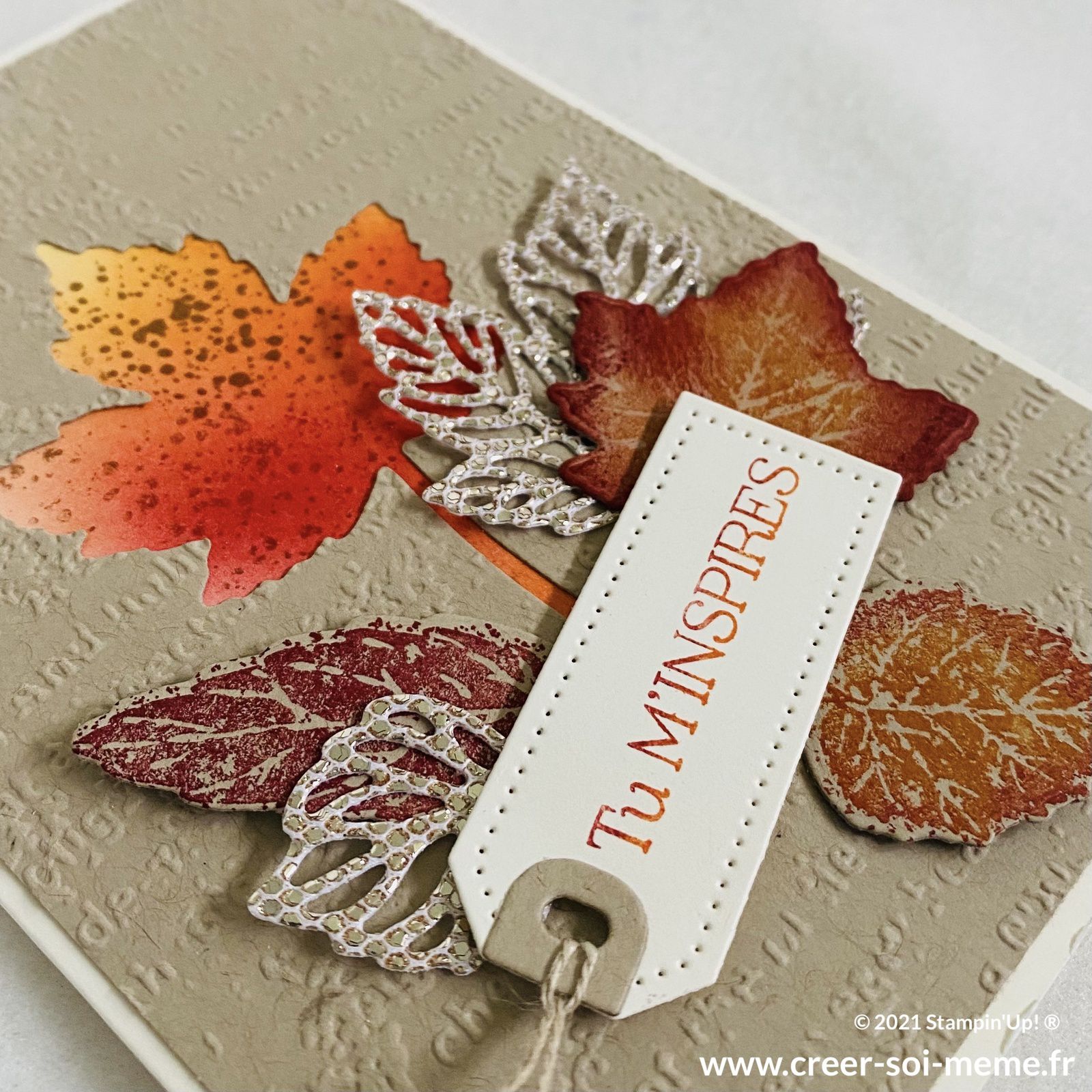 gorgeous leaves stampin up feuillage nature automne die découpes tampons loisirs créatifs automne sonia