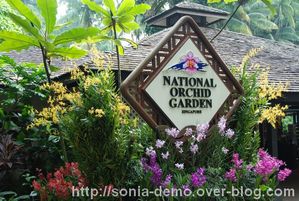 jardin national orchidee