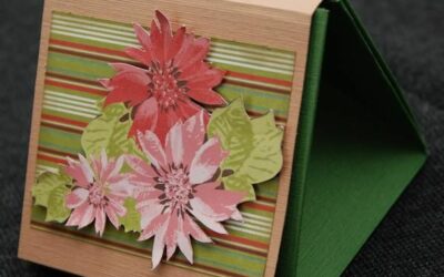 Un mini album sac….