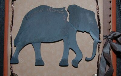 Mon premier mini sur la Tanzanie