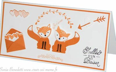 Des renards se s’aiment!