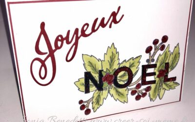 Noël arrive à grands pas