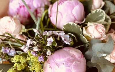 La pivoine, une de mes fleurs préférées