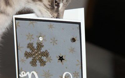 Noël c’est dans à peine plus d’un mois