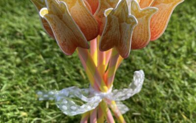 4/7 astuce fleur: tulipe