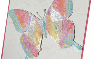 Encore un papillon!