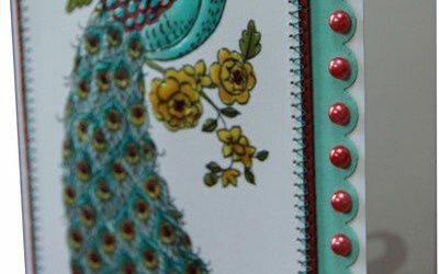 Paon bleu…