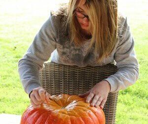 Joyeux halloween à tous