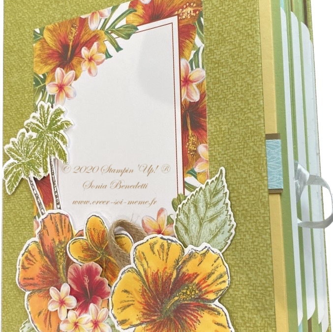 Visuels de l’album – Tutoriel offert