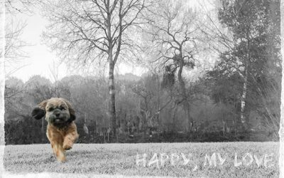 Travail d’une photo