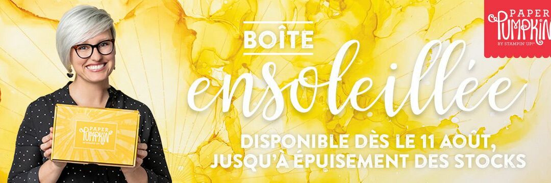 Le kit Paper Pumpkin arrive en France!