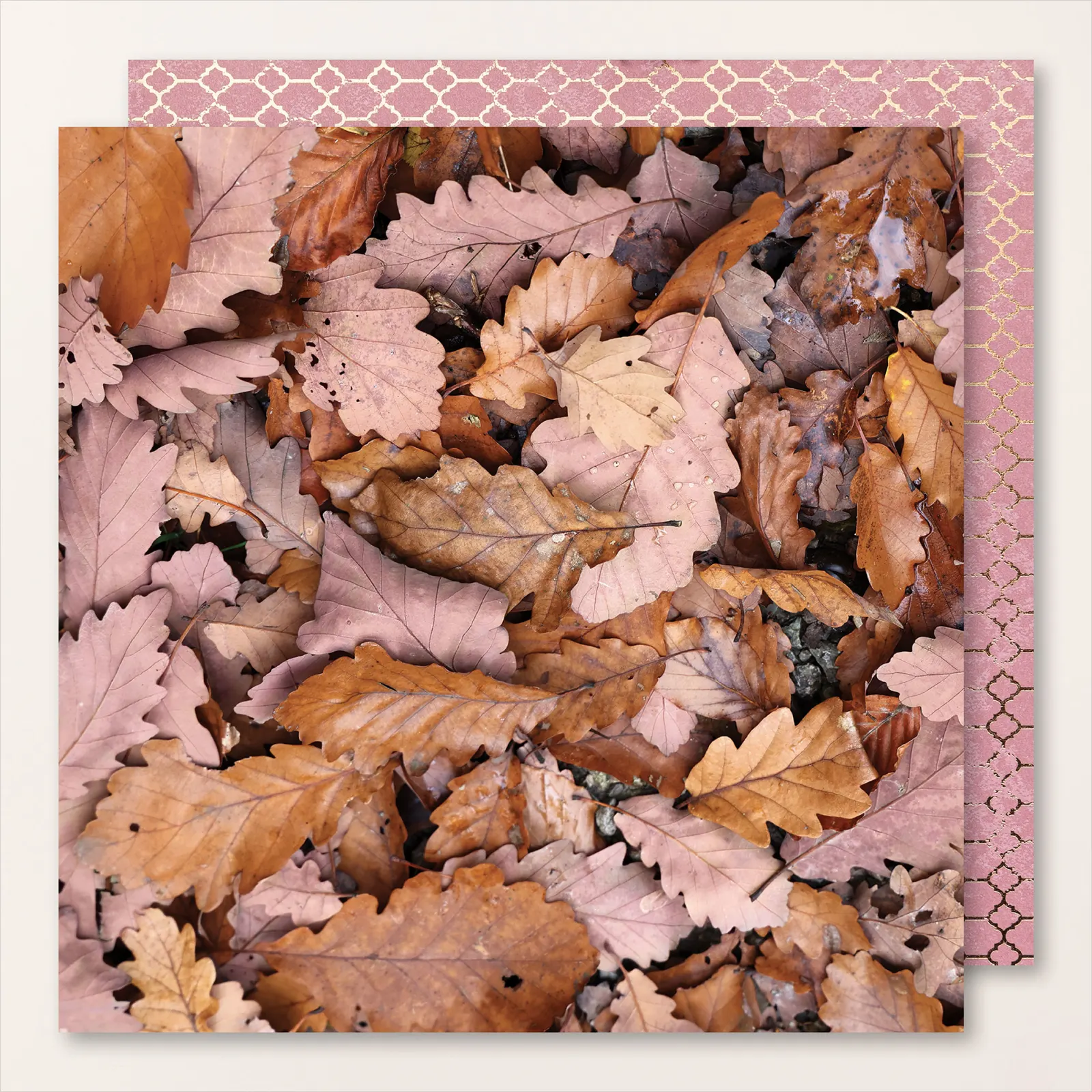 Humeur d'automne stampinup 17