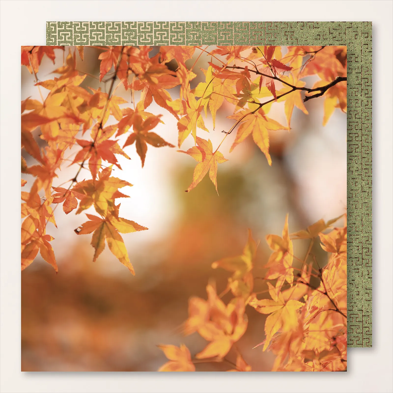 Humeur d'automne stampinup 21
