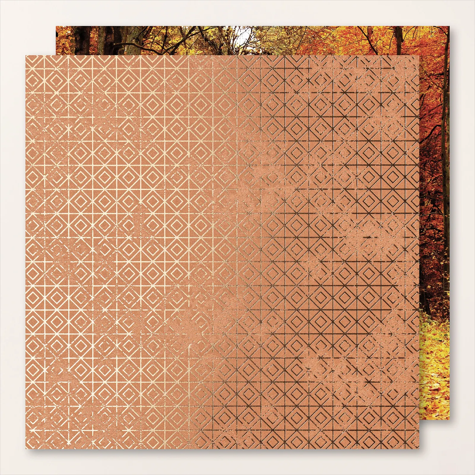 Humeur d'automne stampinup 6