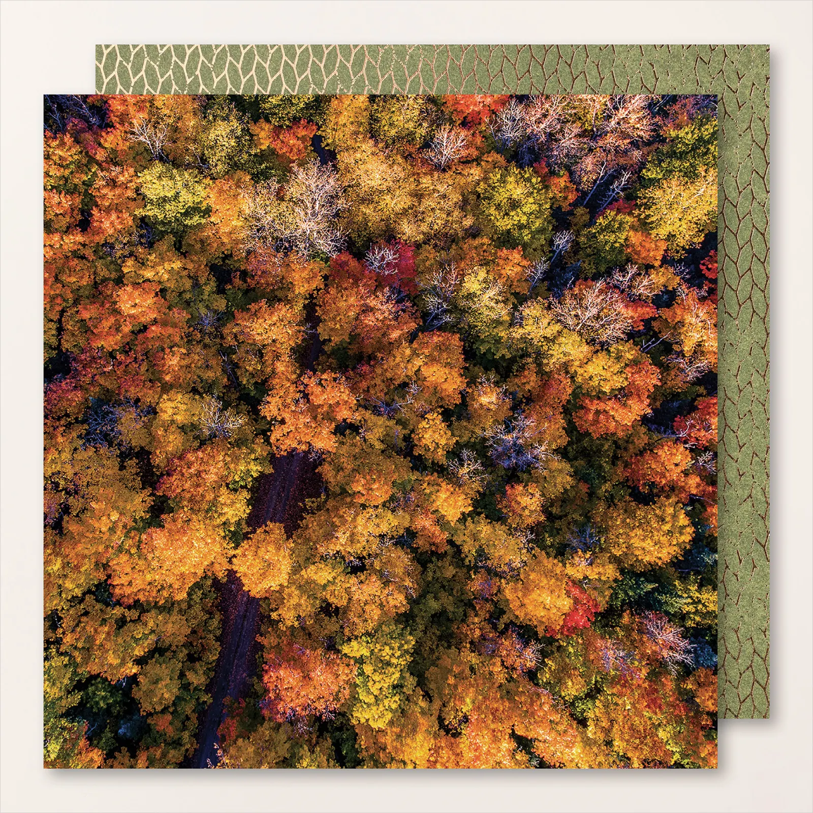 Humeur d'automne stampinup 9