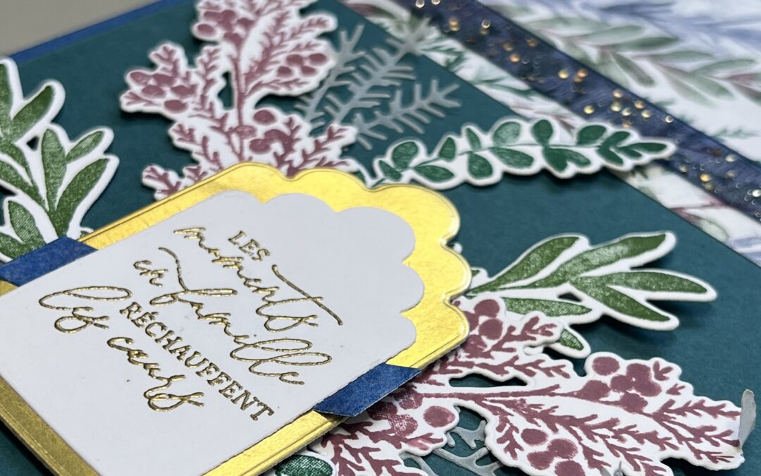 Kit: Album « Quand l’hiver se met en mouvement » (Collection prairie hivernale)
