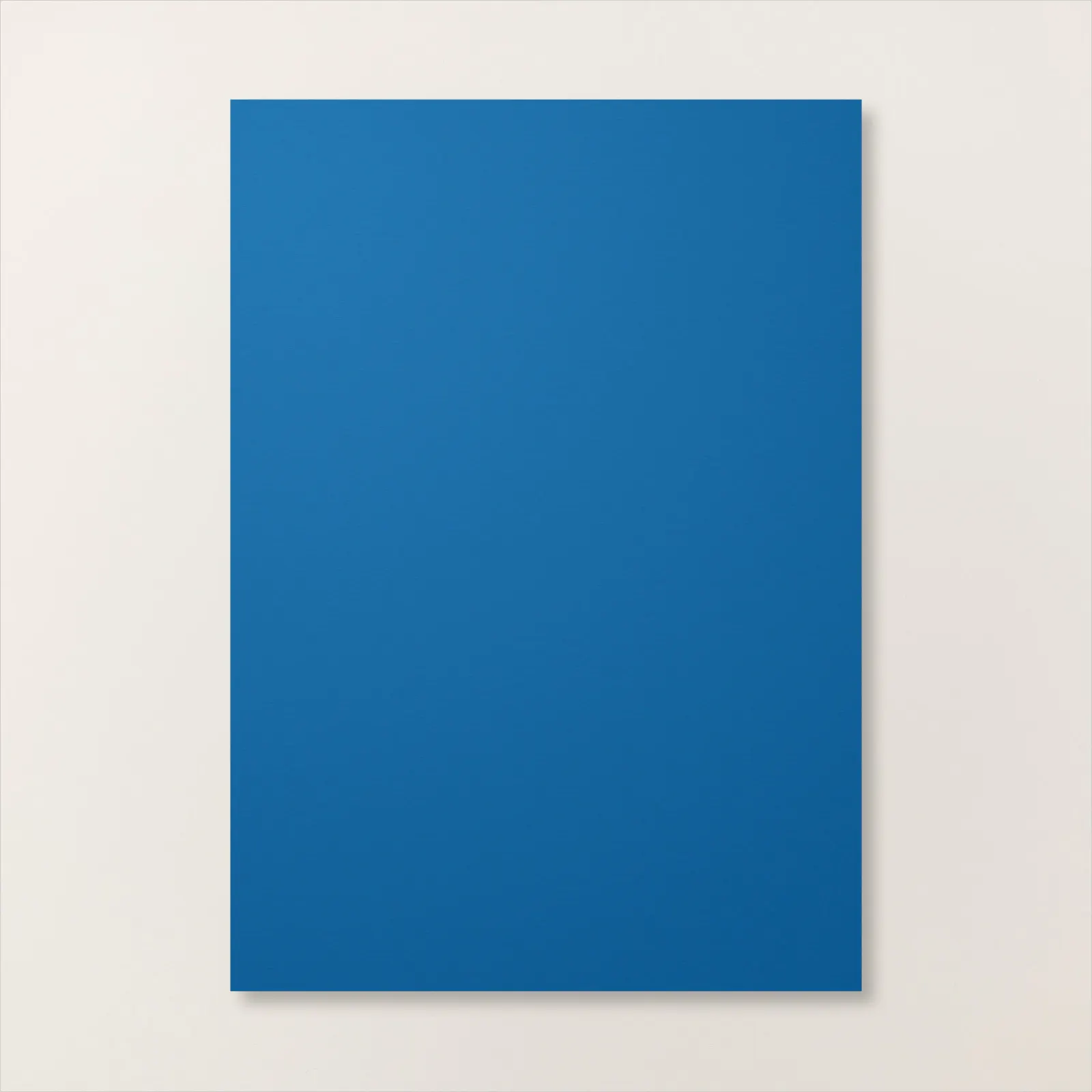 bleuet des bois