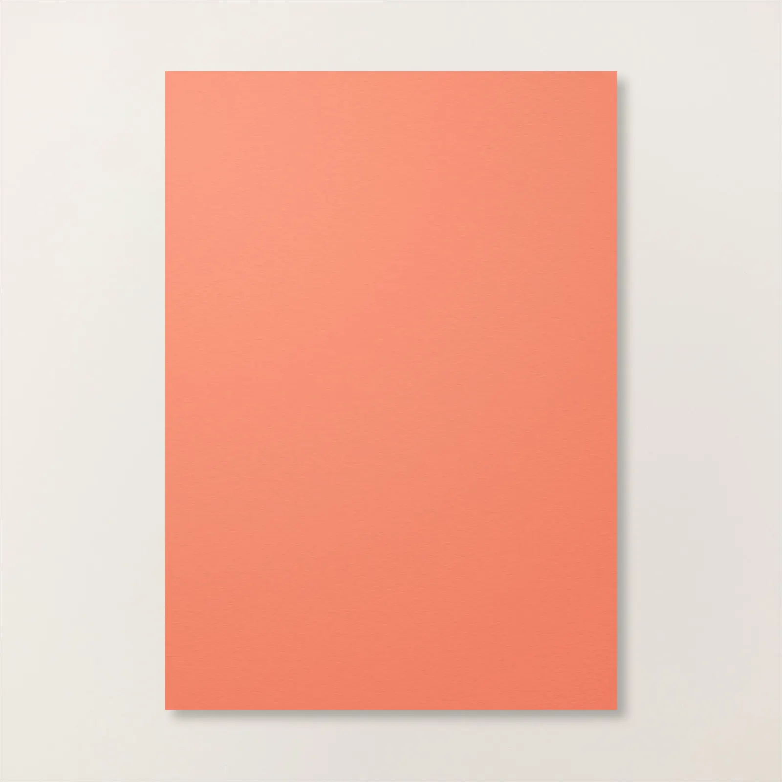 corail calypso