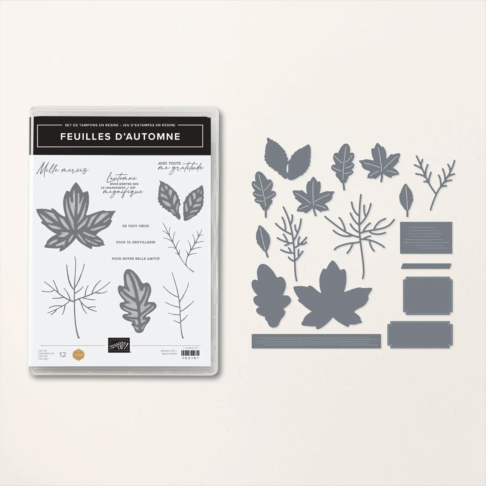 lot feuille d'automne