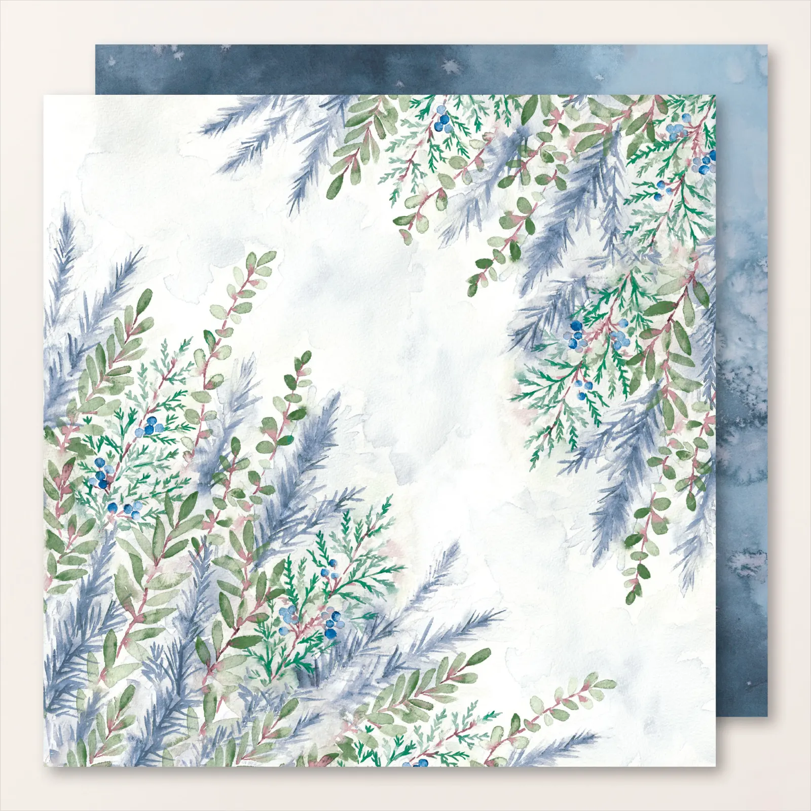 prairie hivernale 1