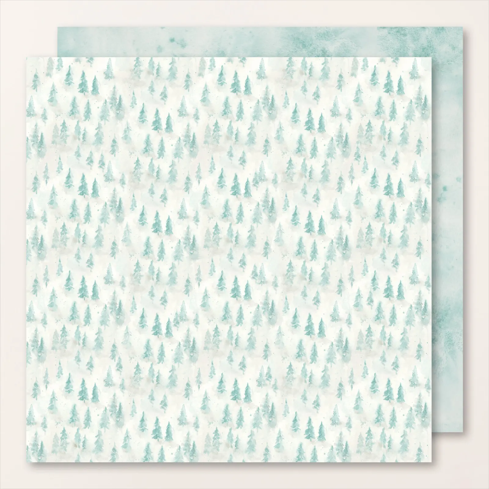 prairie hivernale 11