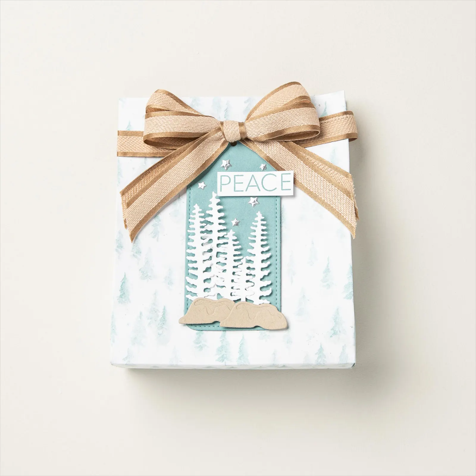 prairie hivernale 14