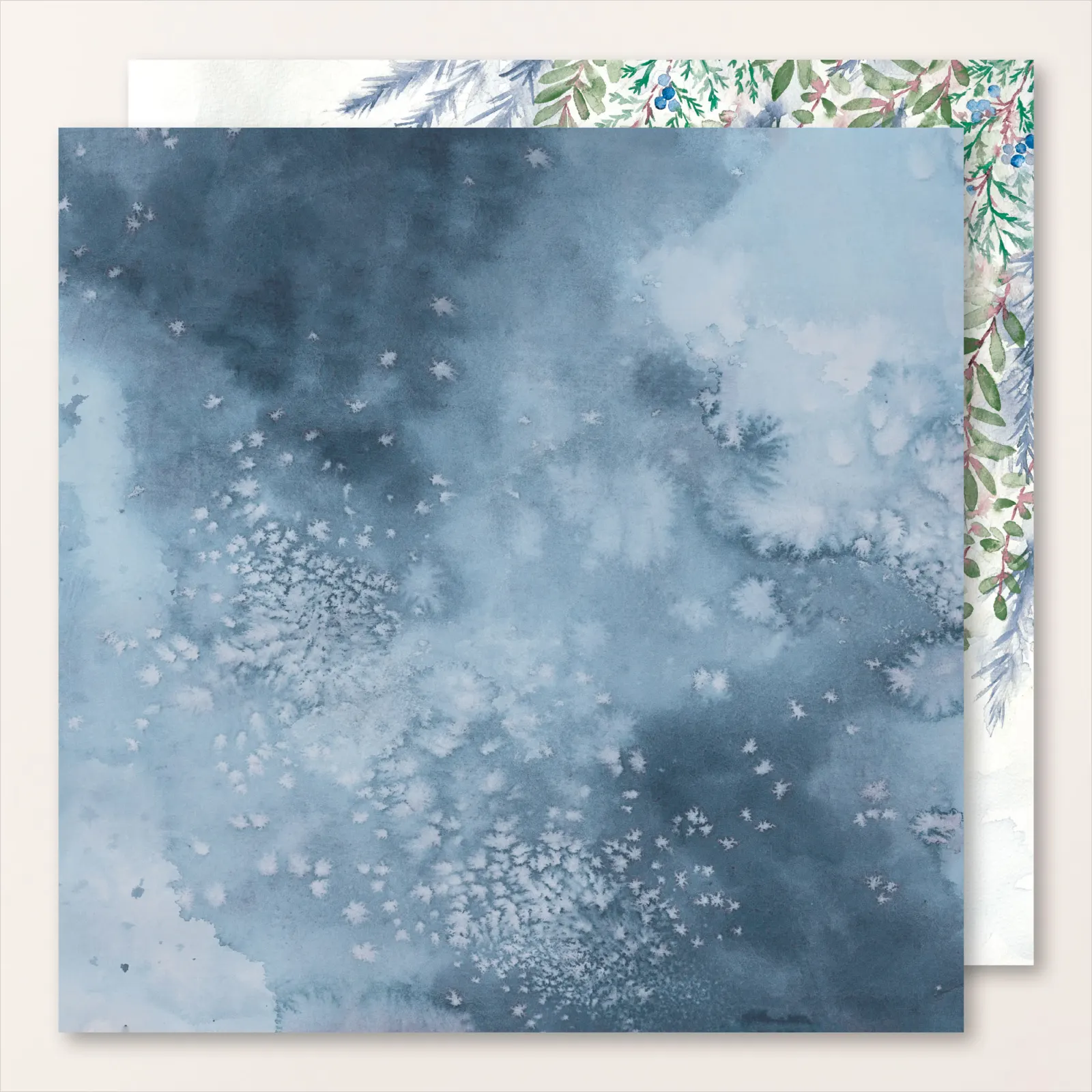 prairie hivernale 2