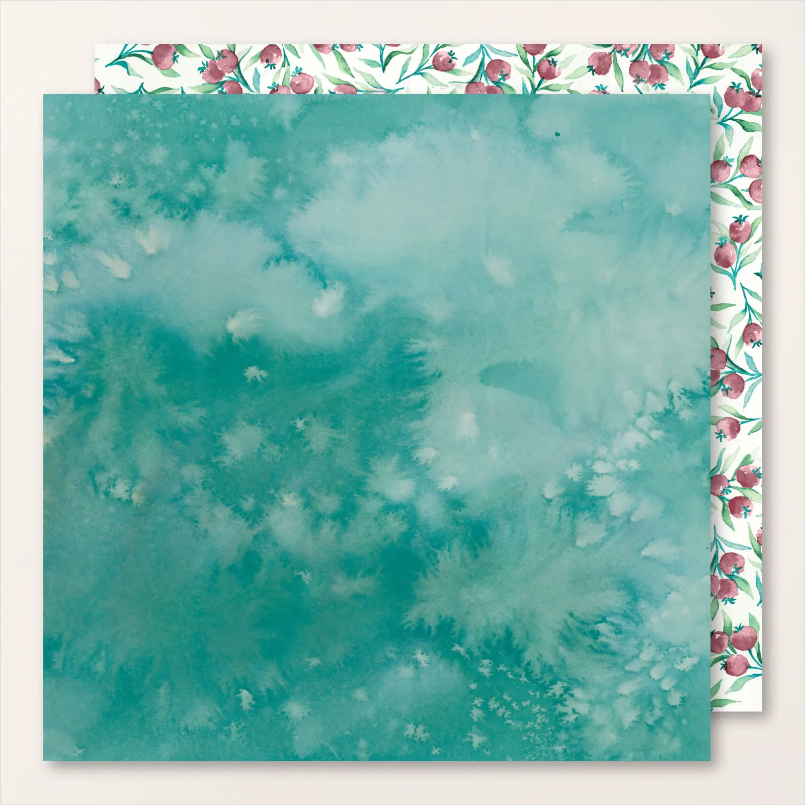 prairie hivernale 6