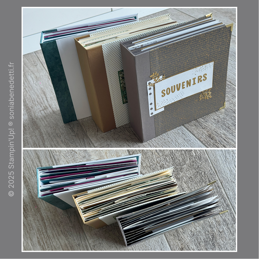 Lot de 3 tutoriels d'albums So'Kit